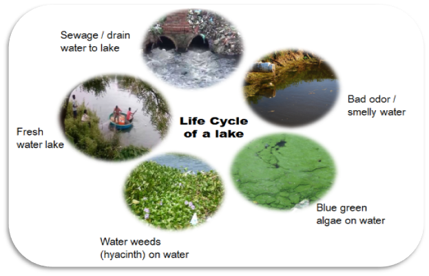 EcoDredging And Flood Mitigation By Madhukar Swayambhu